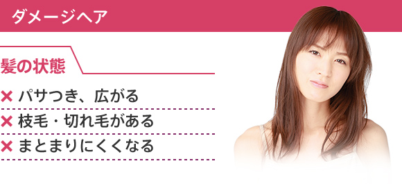 ダメージヘア 髪の状態 パサつき、広がる 枝毛・切れ毛がある まとまりにくくなる