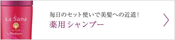 毎日のセット使いで美髪への近道！薬用 シャンプー