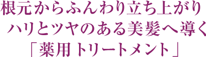 根元からふんわり立ち上がりハリとツヤのある美髪へ導く「薬用 トリートメント」