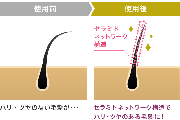 使用前 ハリ・ツヤのない毛髪が・・・ 使用後 セラミドネットワーク構造 セラミドネットワーク構造でハリ・ツヤのある毛髪に！