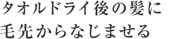 タオルドライ後の髪に毛先からなじませる