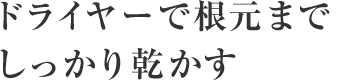 ドライヤーで根元までしっかり乾かす。