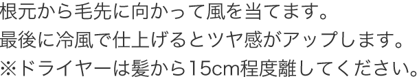 根元から毛先に向かって風を当てます。最後に冷風で仕上げるとツヤ感がアップします。※ドライヤーは髪から15cm程度離してください。