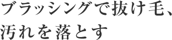 ブラッシングで抜け毛、汚れを落とす