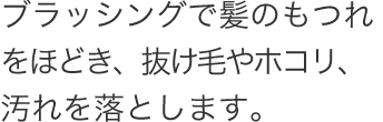 ブラッシングで髪のもつれをほどき、抜け毛やホコリ、汚れを落とします。