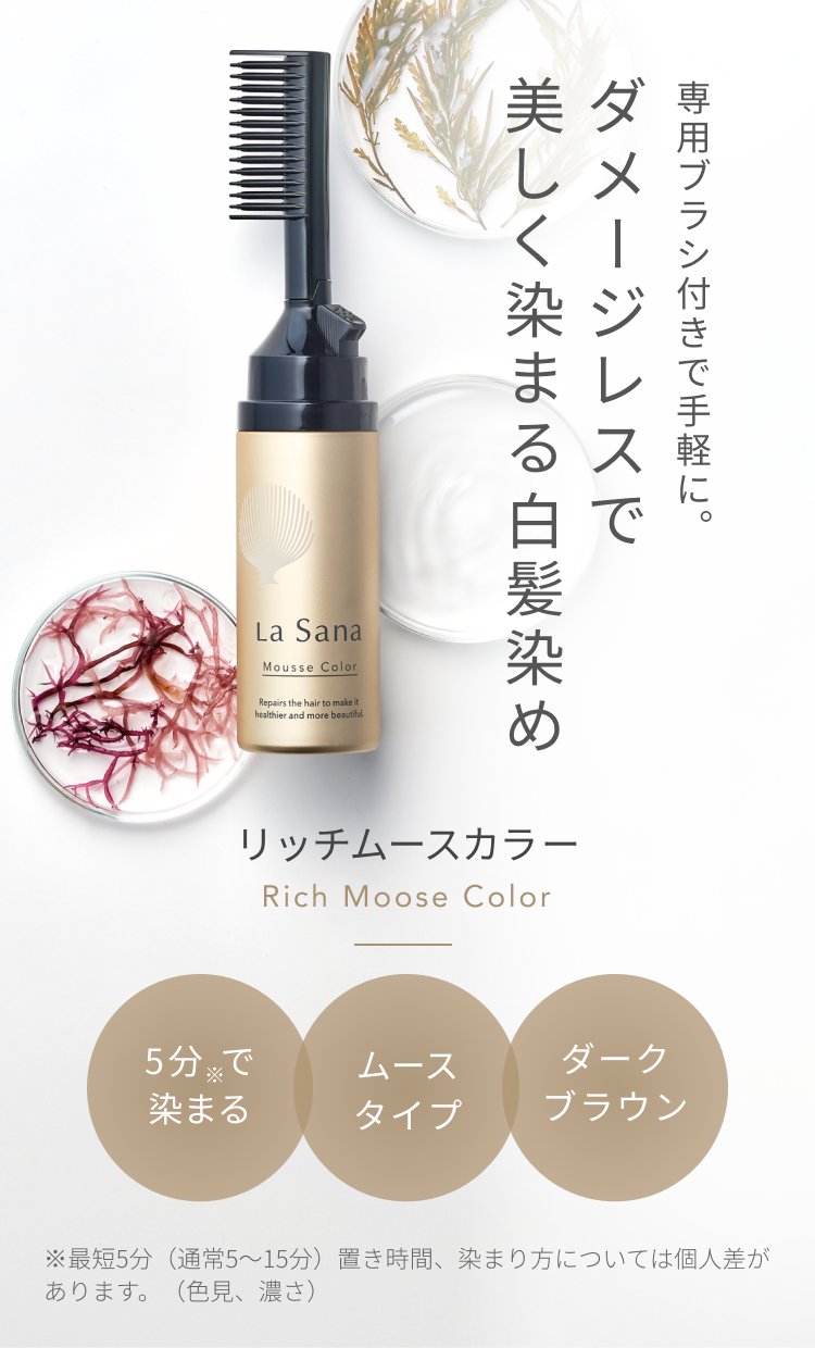 専用ブラシ付きで手軽に。 ダメージレスで美しく染まる白髪染め リッチムースカラー Rich Mousse Color 5分※で染まる ムースタイプ ダークブラウン ※最短5分(通常5~15分)置き時間、染まり方については個人差があります。(色見、濃さ)
