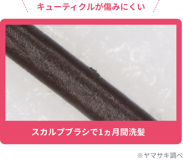 キューティクルが傷みにくい  ※ヤマサキ調べ