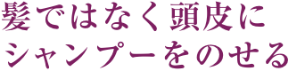 髪ではなく頭皮にシャンプーをのせる