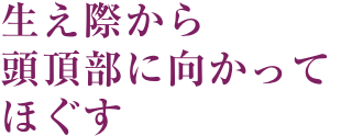 生え際から頭頂部に向かってほぐす