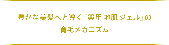 豊かな美髪へと導く「薬用 地肌 ローション」の育毛メカニズム