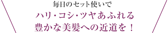 毎日のセット使いで ハリ・コシ・ツヤあふれる 豊かな美髪への近道を！