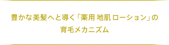 豊かな美髪へと導く「薬用 地肌 ローション」の育毛メカニズム