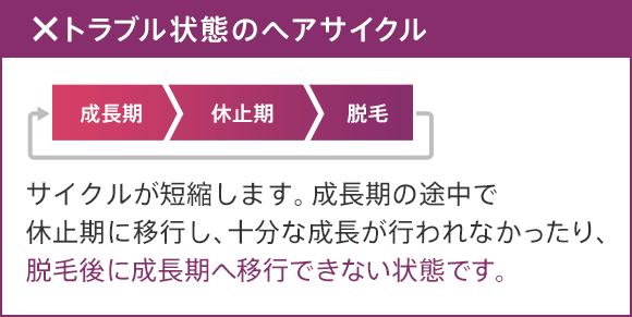 × トラブル状態のヘアサイクル 成長期 休止期 脱毛 サイクルが短縮します。成長期の途中で休止期に移行し、十分な成長が行われなかったり、脱毛後に成長期へ移行できない状態です。