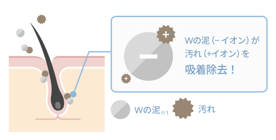 Wの泥（− イオン）が汚れ（+イオン）を吸着除去！  Wの泥※1  汚れ