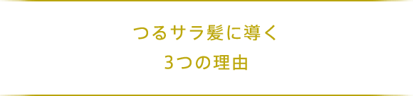 つるサラ髪に導く3つの理由