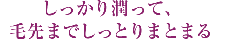 しっかり潤って、毛先までしっとりまとまる