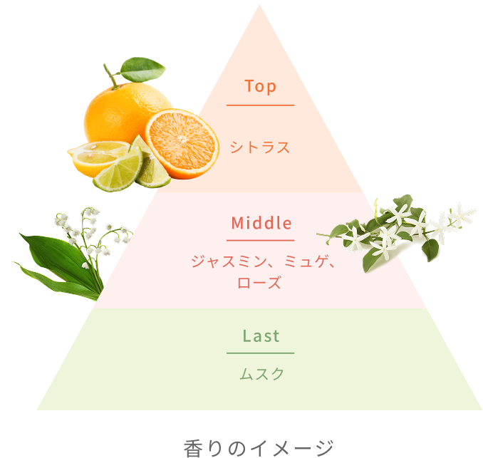Top  シトラス  Middle  ジャスミン、ミュゲ、ローズ  Last  ムスク  香りのイメージ