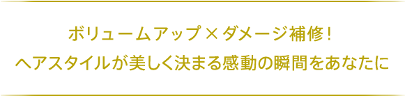 ボリュームアップ×ダメージ補修！ ヘアスタイルが美しく決まる感動の瞬間をあなたに