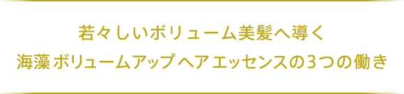 若々しいボリューム美髪へ導く海藻ボリュームアップヘアエッセンスの3つの働き