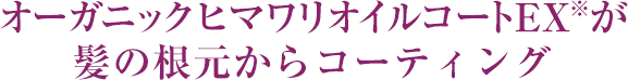 オーガニックヒマワリオイルコートEX※が髪の根元からコーティング