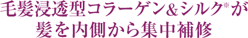 毛髪浸透型コラーゲン&シルク※が髪を内側から集中補修