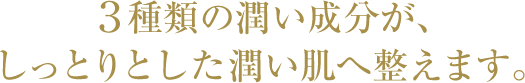 ３種類の潤い成分が、しっとりとした潤い肌へ整えます。